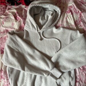 Aritzia boyfriend hoodie